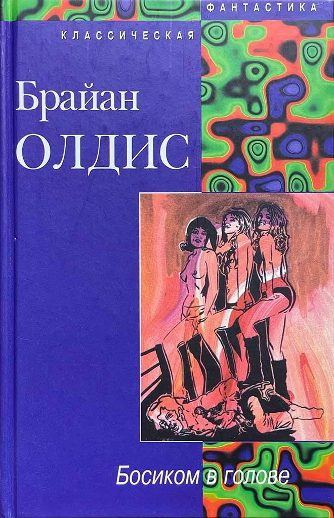 Обложка книги "Босиком в голове"