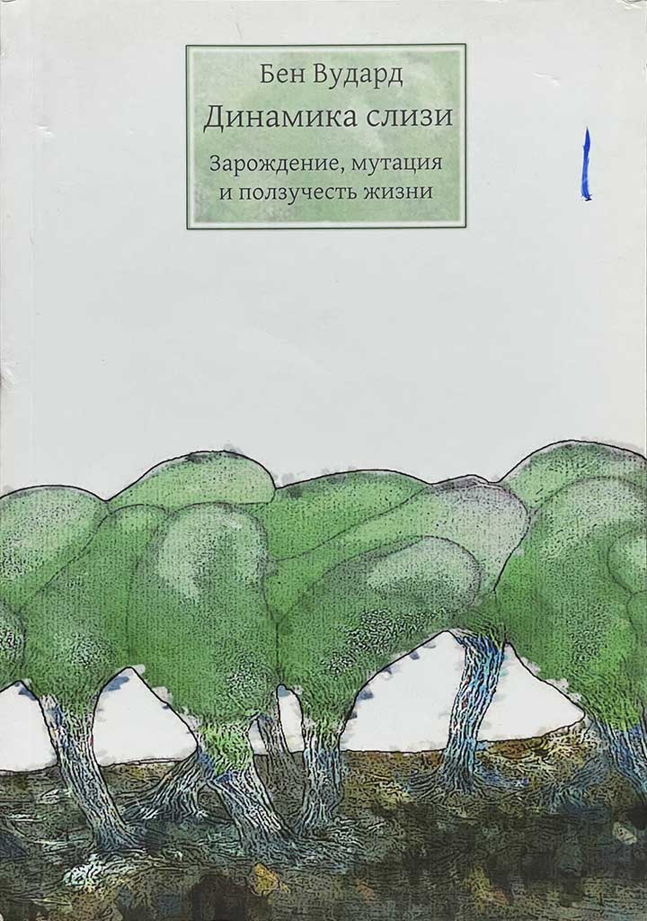 Обложка книги "Динамика слизи"