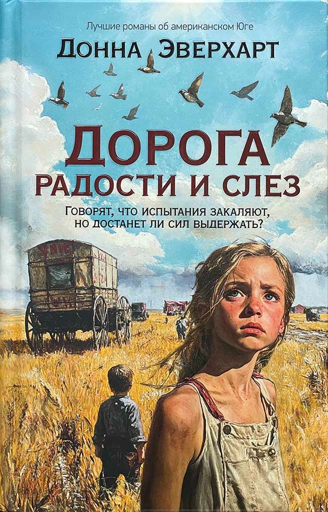 Обложка книги "Дорога радости и слез"