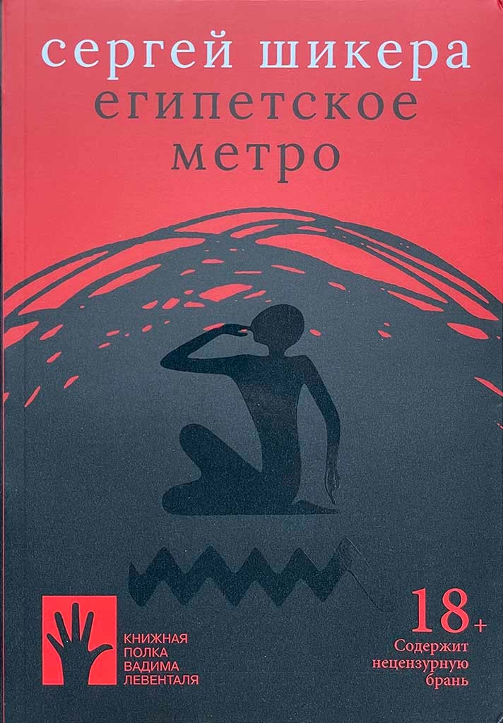 Обложка книги "Египетское метро"