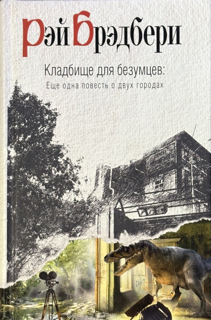Обложка книги "Кладбище для безумцев"