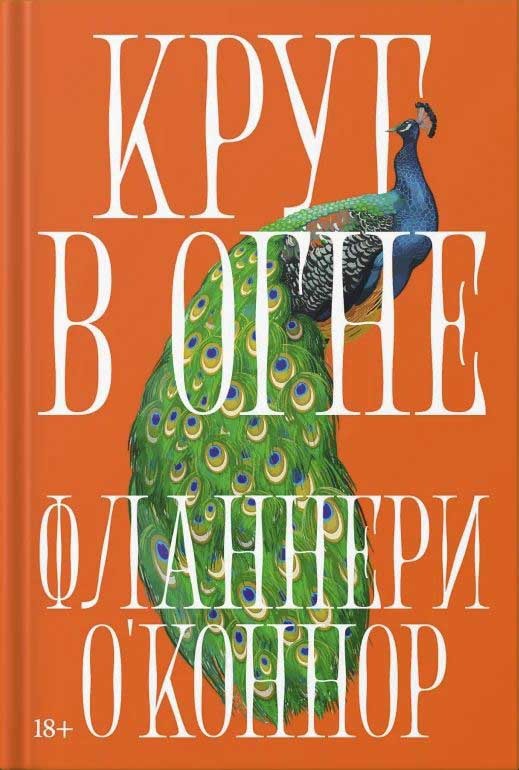 Обложка книги "Круг в огне"