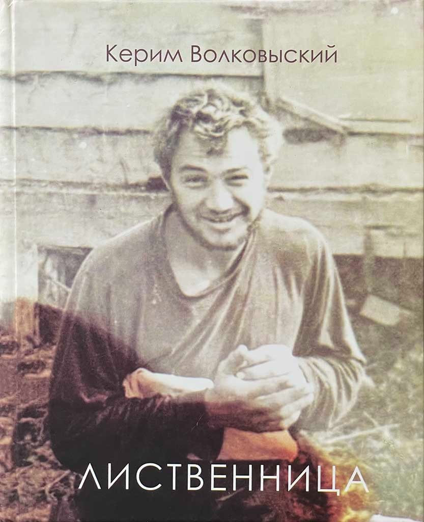 Обложка книги "Лиственница"