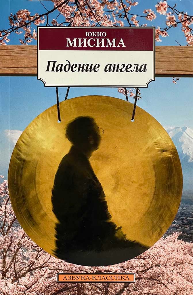 Обложка книги "Падение ангела"