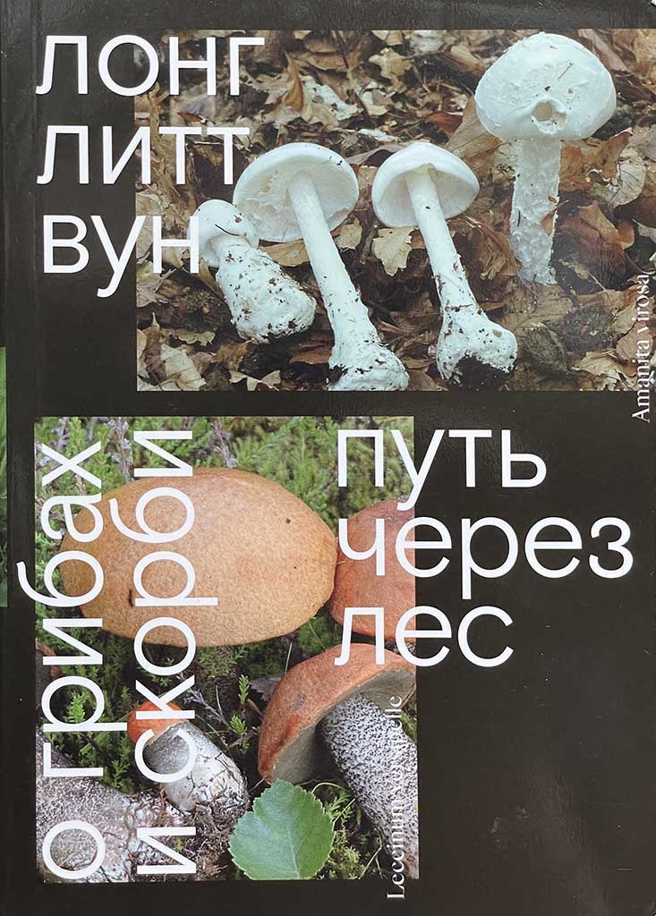 Обложка книги "Путь через лес"