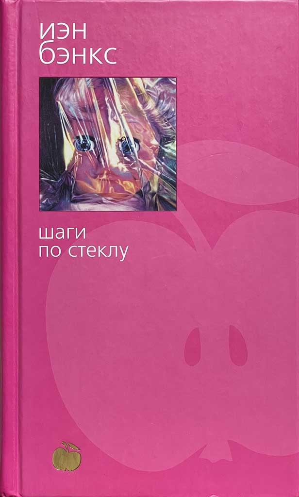 Обложка книги "Шаги по стеклу"