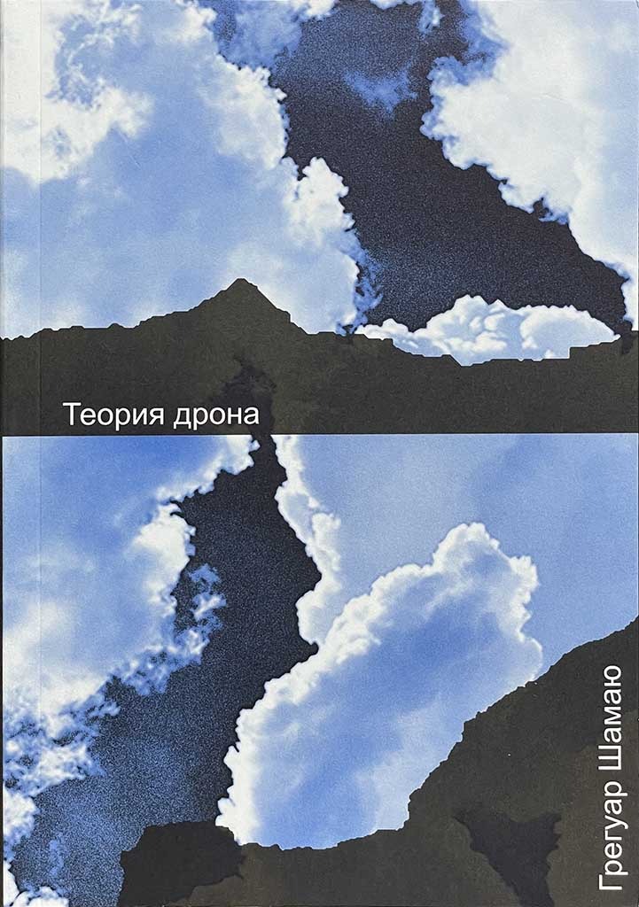 Обложка книги "Теория дрона"