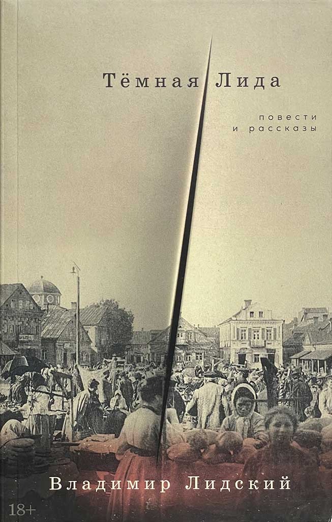 Обложка книги "Тёмная Лида"