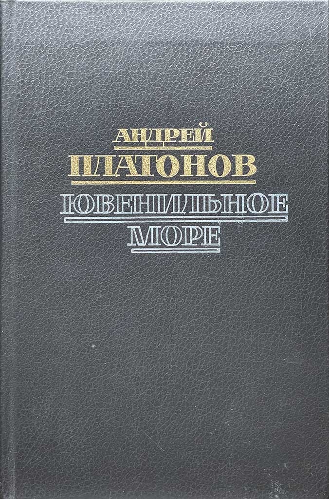 Обложка книги "Ювенильное море"